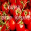 Озирис Цветан Йорданов ЕТ