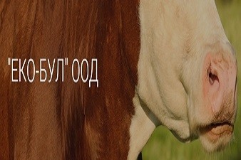 Еко-Бул ООД